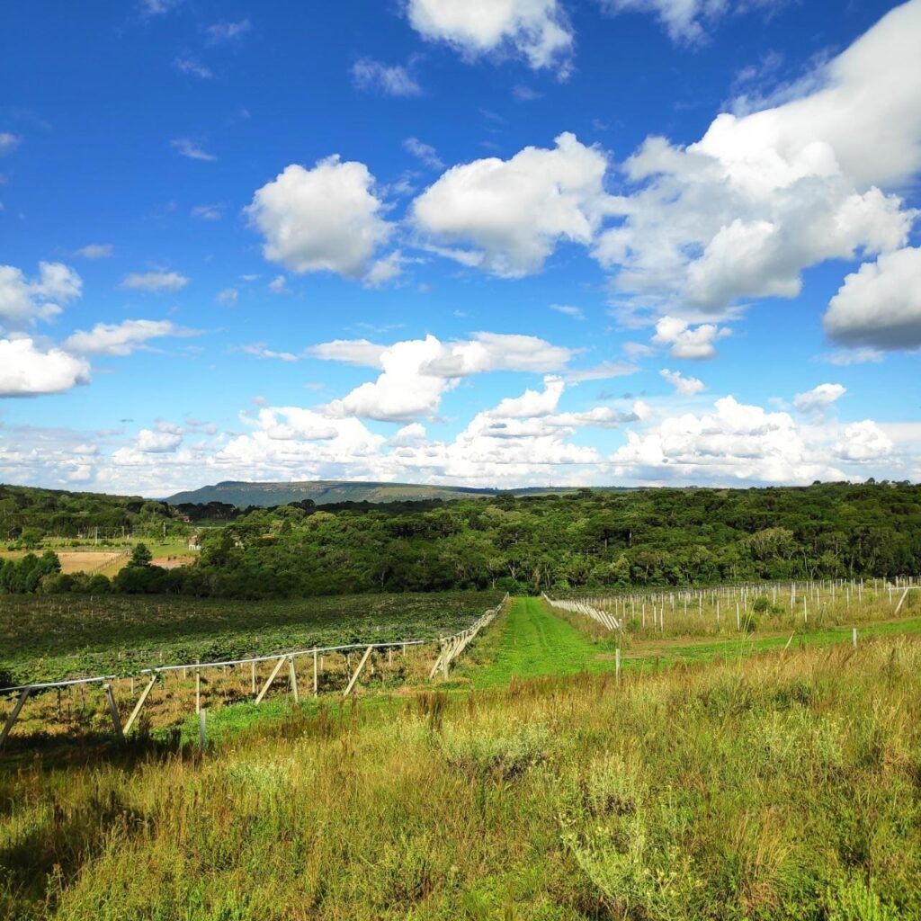 WhatsApp-Image-2020-05-26-at-15.20.46